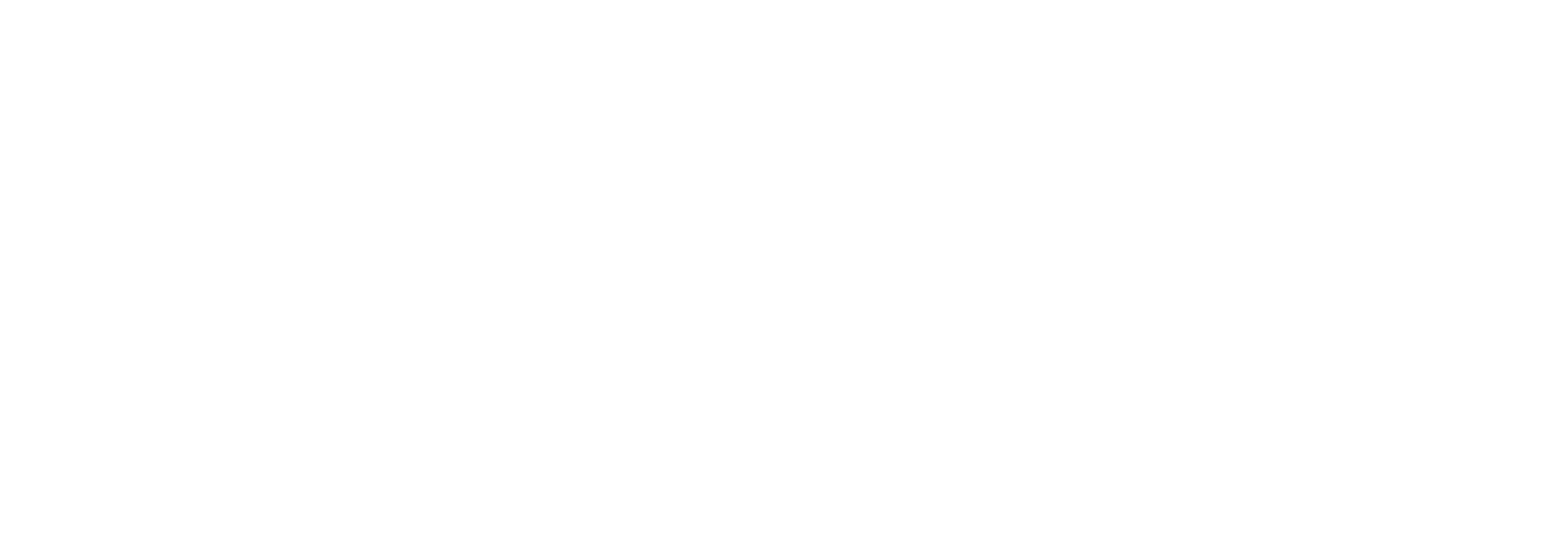 GS Fintech